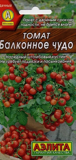 ����� ��������� ����