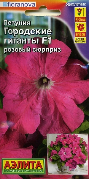 ������� ��������� ������� F1 ������� �������