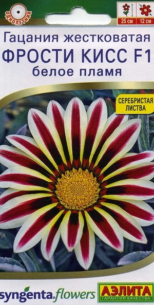 ������� ����������� ������ ���� F1 ����� �����