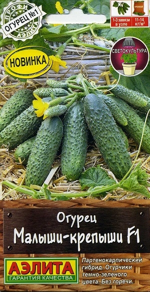 ������ ������-������� F1