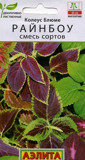 ������ ����� ������� ����� ������