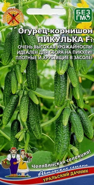 ������-�������� �������� F1 (��������� ������)