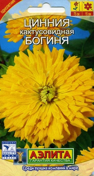  ()  