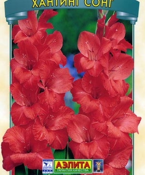 �� �������� ������������: