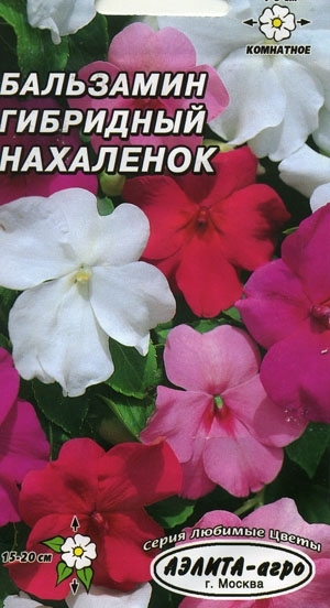   , 