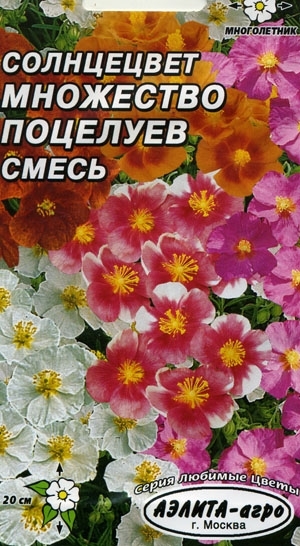  ( )  