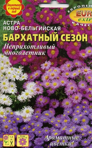    -, 