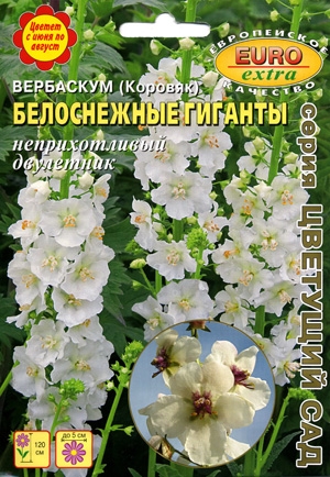  ( )  
