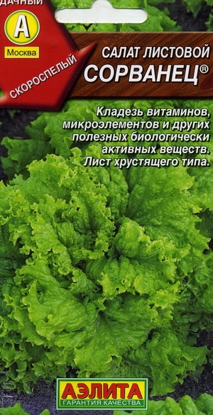  ® 