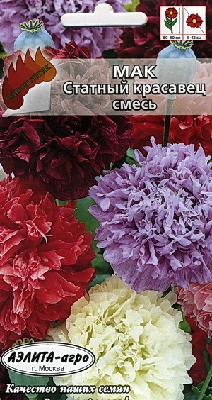   , 