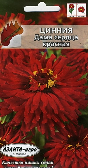  ()   