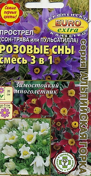 (-, )  ,  3  1