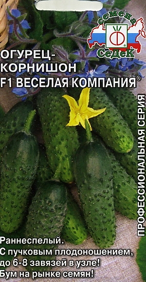    F1