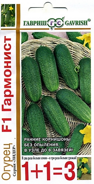   F1