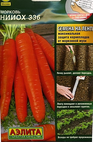   336