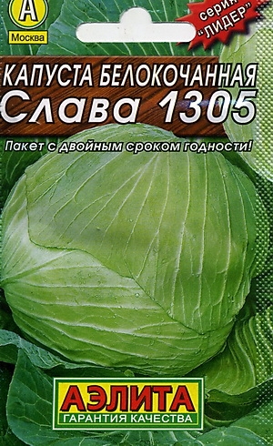    1305